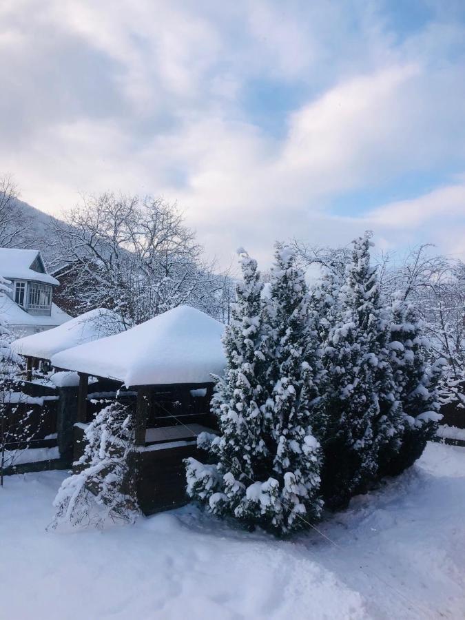 Котедж Гірський Jaremtsche Exterior foto