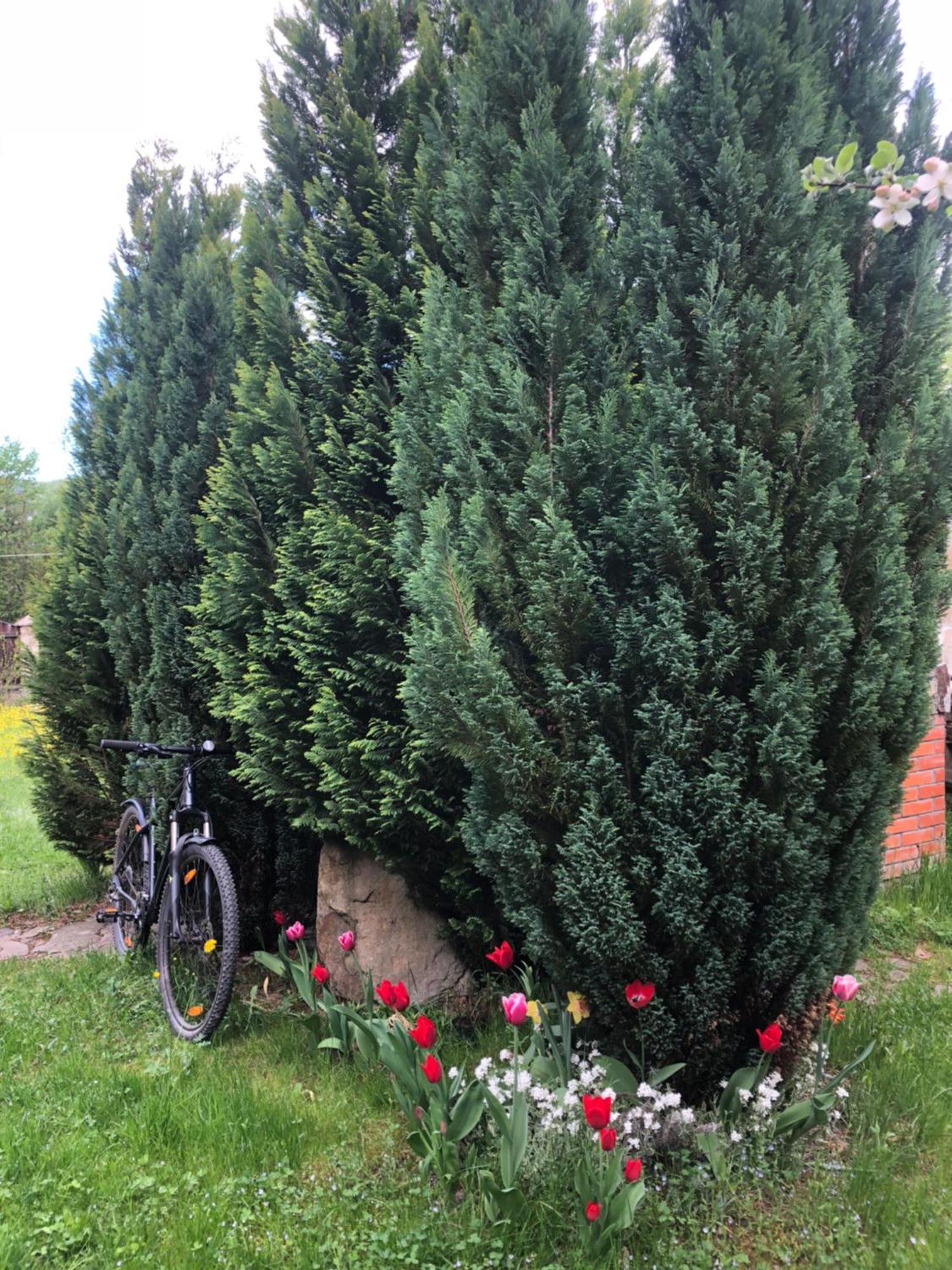 Котедж Гірський Jaremtsche Exterior foto