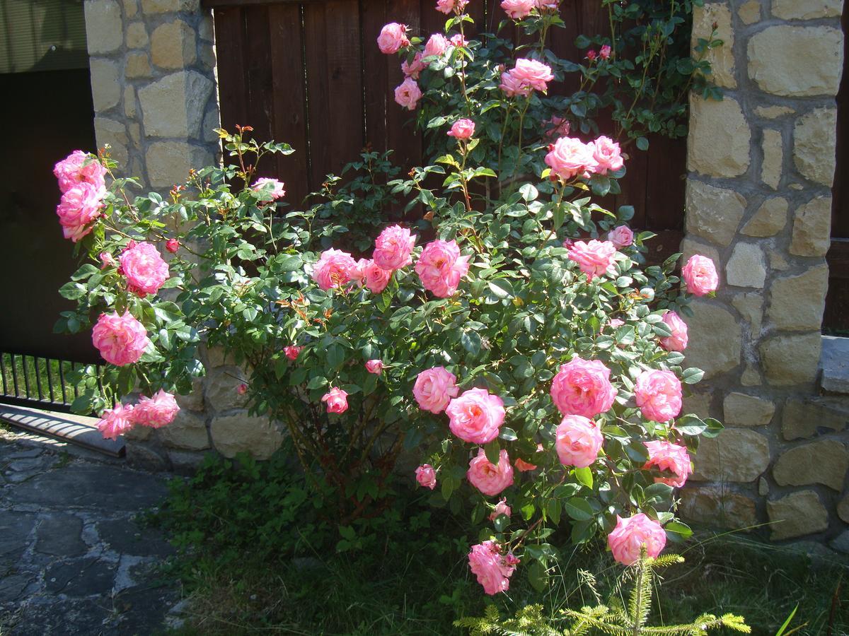 Котедж Гірський Jaremtsche Exterior foto