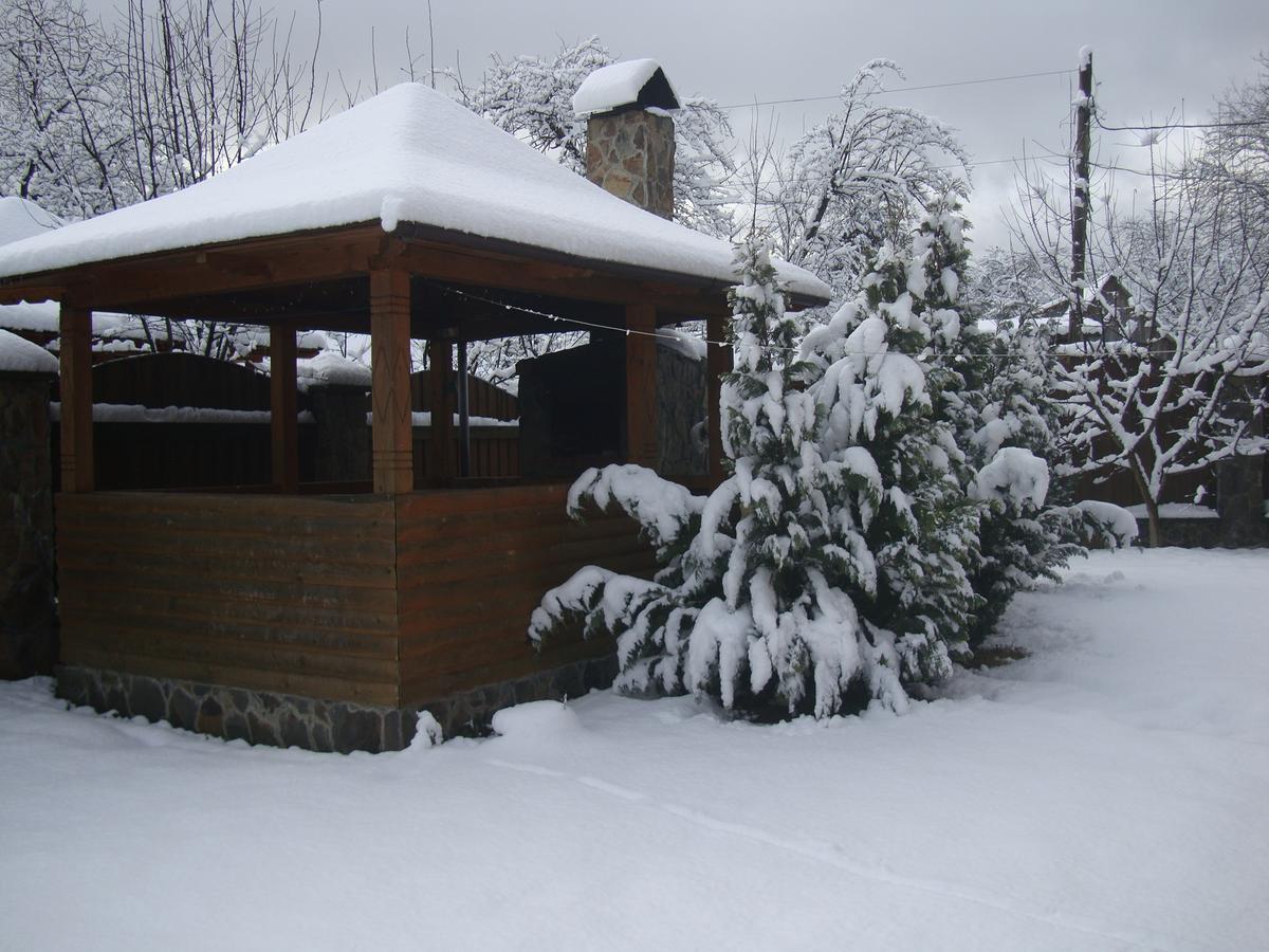 Котедж Гірський Jaremtsche Exterior foto